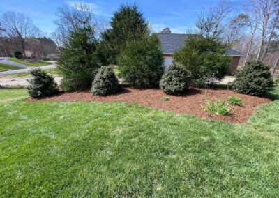 Landscaping project 9